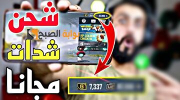 IMG ٢٠٢٤٠١٠٢ ٢٠٠١٣٠