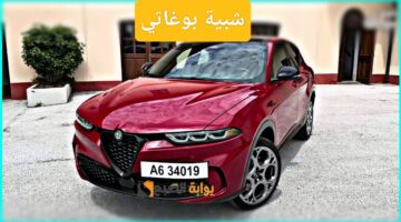 IMG ٢٠٢٤٠١٠٨ ٠١٢٨١٨