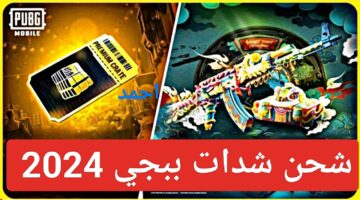 IMG ٢٠٢٤٠١١٠ ٠١١١٥٧ 1