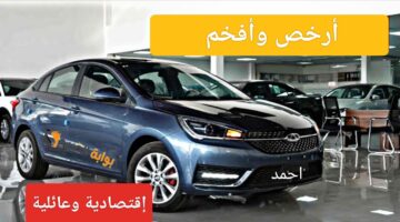 IMG ٢٠٢٤٠١١٧ ٢٠٤٤٠١