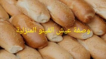 IMG ٢٠٢٤٠١٣١ ١٦٢٢٤٦