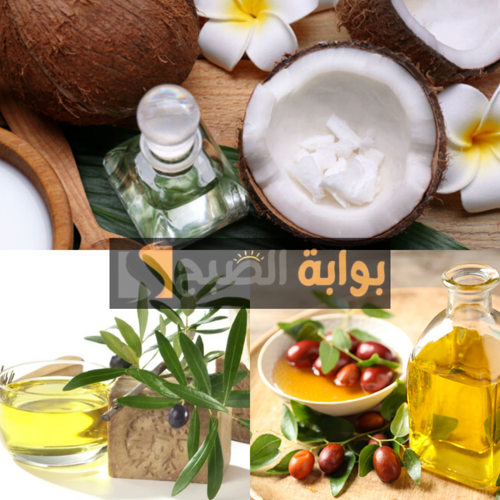 هيحسدوكي على طوله.. 3 زيوت طبيعية برخص التراب من العطار هيحلوا كل مشاكل شعرك في أسبوع 5 هيحسدوكي على طوله.. 3 زيوت طبيعية برخص التراب من العطار هيحلوا كل مشاكل شعرك في أسبوع