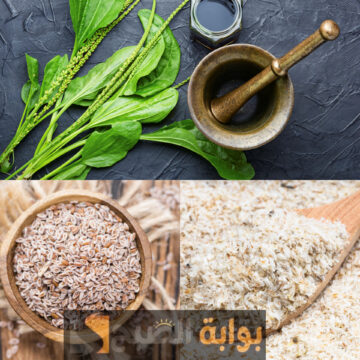 رجعي عودك السمبتيك..عشبة مستخبية بفوائد سحرية هتنزلك ٥ كيلو فأسبوع تخلصي من كل الدهون