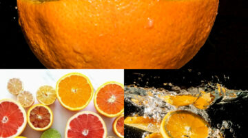 InShot ٢٠٢٤٠١١٥ ١٧٠٦٥٤٥٧٨