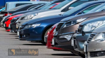 InShot ٢٠٢٤٠١١٧ ٠٢١٧٢٦١٨١