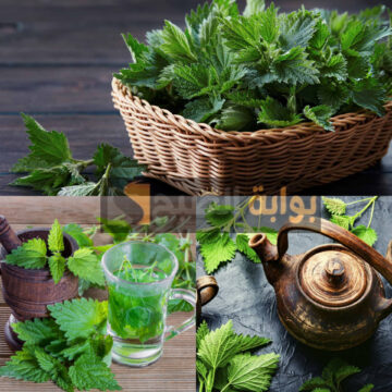 كنز من عند العطارة..عشبة منسية هتخليكي واحدة جديدة اسألي عليها العطار