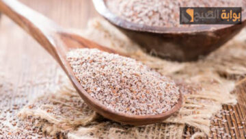 عودك هيبقى في المظبوط منه.. عشبة طبيعية لتخسيس البطن والجناب والأرداف