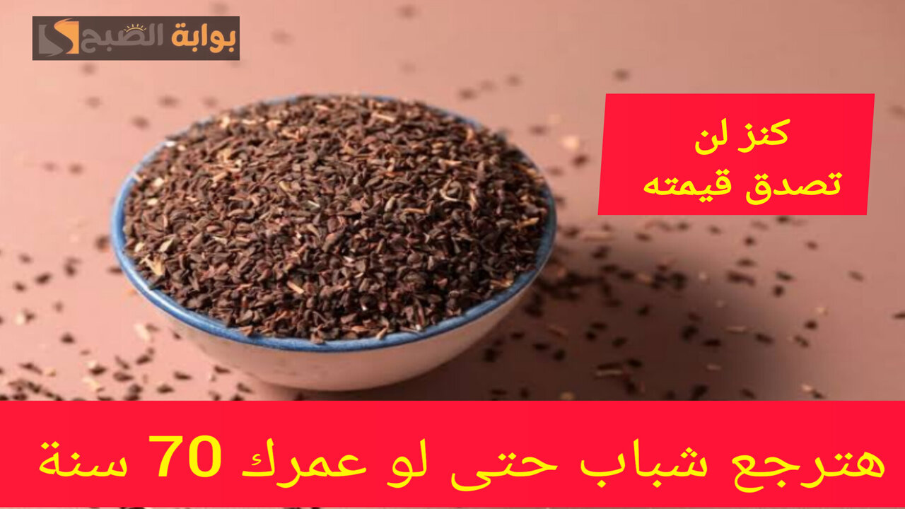 عشبة مذهلة لا تفوتك.. استخدم هذه البذور الطبيعية بهذا الشكل للحصول على فائدة لم تتوقعها