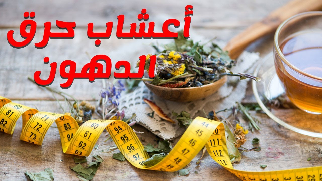 بدون رجيم خلطة العطار بـ 7 أعشاب لنسف الدهون العنيدة و إنقاص الوزن في 7 أيام فقط 5 بدون رجيم خلطة العطار بـ 7 أعشاب لنسف الدهون العنيدة و إنقاص الوزن في 7 أيام فقط
