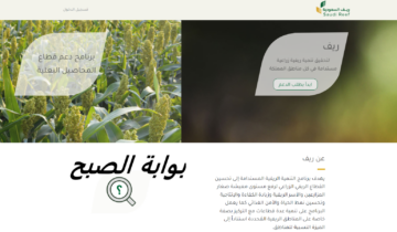 «بالرابط».. طريقة التسجيل في دعم ريف الجديد 1445 برقم الهوية والشروط اللازمة للإستحقاق.. سجل فوراً!!