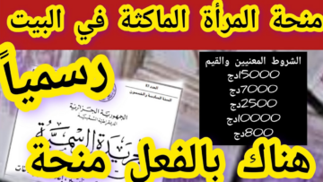 من هي المرأة الماكثة في البيت؟ كما حددت الحكومة الجزائرية 2024