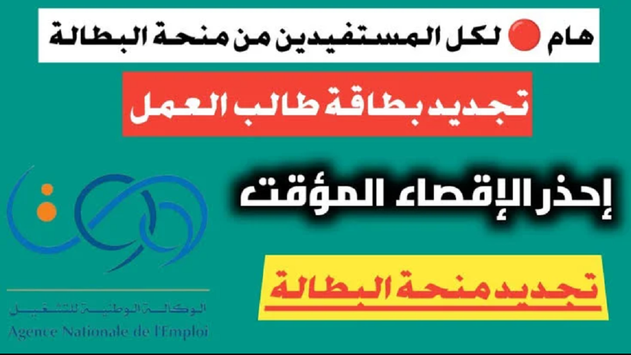 الآن.. رابط تجديد منحة البطالة 2024 minha.anem.dz وخطوات التجديد خطوة بخطوة 5 الآن.. رابط تجديد منحة البطالة 2024 minha.anem.dz وخطوات التجديد خطوة بخطوة