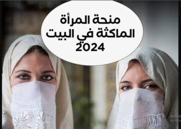 NOW “قدمي فورا“ منحة المرأة الماكثة في البيت 2024” anem.dz رابط التسجيل واهم الشروط الازمة للتقديم الوكالة الوطنية للتشغيل