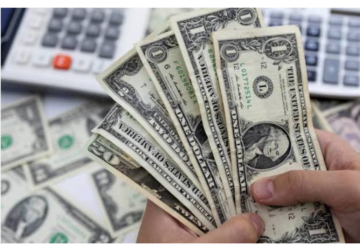 سعر الدولار في مصر اليوم ثبات نسبي وسط مخاوف من ارتفاعه