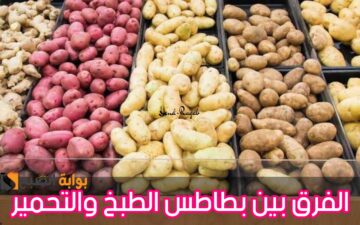 «هتعرفيه من أول نظره».. الفرق بين بطاطس التحمير وبطاطس الطبخ وأبرز 7 اختلافات بينهما