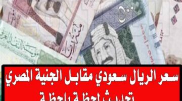WhatsApp Image 2023 06 18 at 10.32.36 AM 1 800x500 1