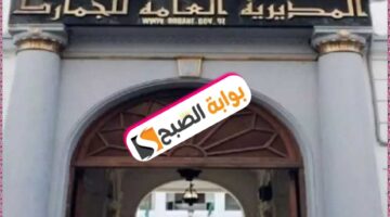 WhatsApp Image 2024 01 29 at 14.41.59 54bf1de4