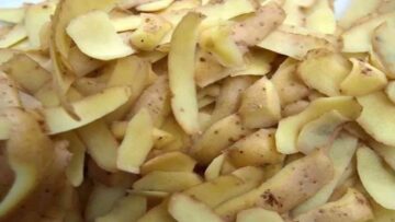 اختراع هيجيب من الاخر. ارمي قشر البطاطس في الميه المغلية واعملي وصفه الاميرات هتخليكي شابه في العشرينات مهما كان عمرك
