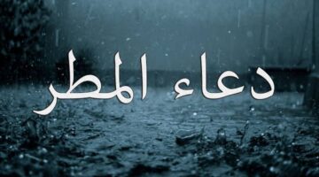 images 2 9