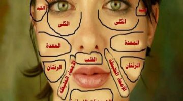 images 2022 03 10T001234.276