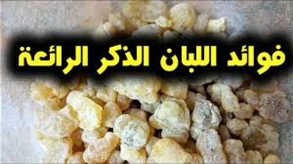 فوائد منقوع لبان الذكر يخلصك من الخشونة والقولون العصبي وحساسية الصدر