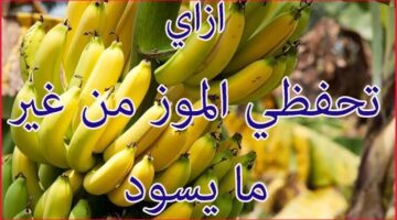 images 2024 01 03T114528.638