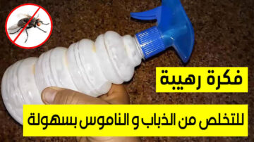 طرق التخلص من الناموس وطرده من البيت بمكونات طبيعية بدون كيماويات ومواد ضارة وروائح كريهة