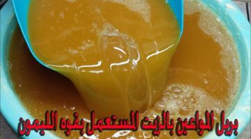 images 2024 01 12T124929.106