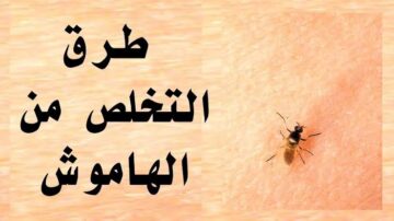 مش هتصدقي سرعة مفعولة.. بلمونة وشوية زيت حضري أقوى وصفة للتخلص من الهاموش في منزلك
