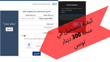 الآن.. منحة 300 دينار تونس 2024 رابط التسجيل والشروط eservices.social.gov.tn “قدم بسرعة“
