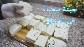 بمكونات بسيطة واقتصادية… طريقة عمل الجبنة البيضاء في المنزل وماذا تفعل عند فشل المهمة؟!!
