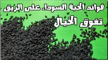 فوائد حبة البركة على الريق وصفة سحرية مذهلة في علاج الكثير من الأمراض لن تتخيل النتيجة