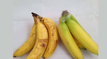 images رببر1