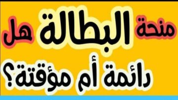 هل منحة البطالة تتوقف عند سن الـ40؟ وزارة العمل الجزائرية توضح الشروط