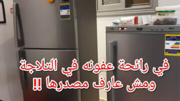 خليكي شملولة في بيتك.. تنظيف الثلاجة والتخلص من الروائح الكريهة بطريقة متخطرش على بالك