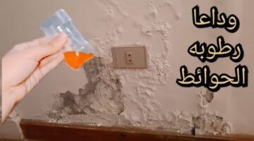 imageنلىووزظs 1