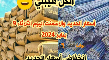 img 1705383467429