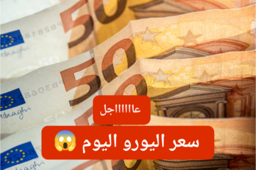 بكام الأوروبي النهاردة.. سعر اليورو اليوم مقابل الجنيه المصري في البنوك المصرية 29-1-2024.. شوف وصل كام؟!