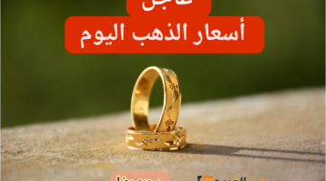 img 1706620406398