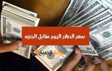 بكـام في البنك النهاردة.. سعر الدولار الأمريكي مقابل الجنيه المصري اليوم الأربعاء 31 يناير 2024