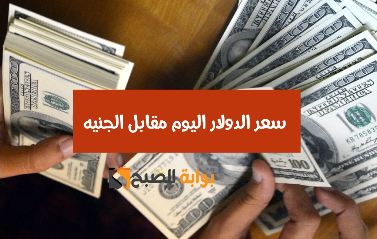بكـام في البنك النهاردة.. سعر الدولار الأمريكي مقابل الجنيه المصري اليوم الأربعاء 31 يناير 2024