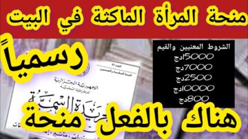 شروط الحصول على منحة المرأة الماكثة في البيت 2024 في الجزائر