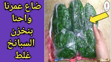 الملعقة السحرية لتخزين السبانخ من السنة للسنة بدون تغيير في لونها وطعمها هتفضل طازجة كانك شرياها