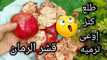 فكرة جهنمية.. قشر الرمان طلع كنز واحنا بنرميه منعرفش ممكن نعمل بيه ايه اتحداكي هتعمليها فورا