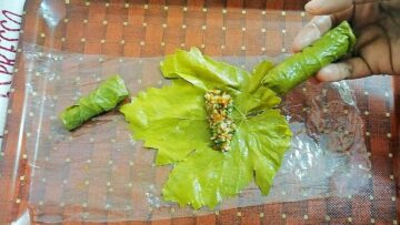 فكرة عبقرية وجديدة للف الكرنب وورق العنب بسرعة جداً وبدون تعب ومجهود