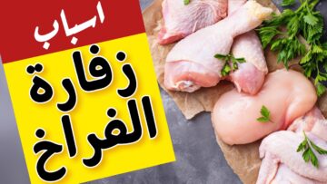 “هتنضفيها في ثواني” طريقة تنظيف الفراخ والتخلص من رائحة الزفارة نهائي
