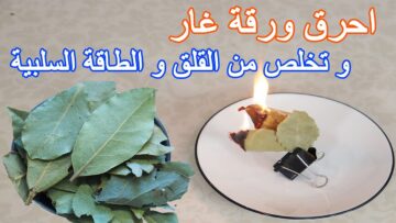 هذا ما يحدث خلال 10 دقائق عندما تحرق ورقة غار واحدة تعرف علي فوائده الآن