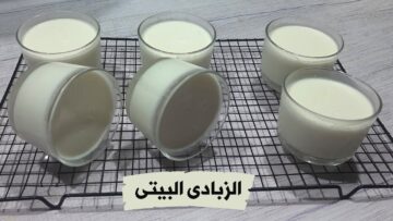 بدون ماكينة.. طريقة عمل الزبادي البيتي وأسرار نجاحة من أول يوم