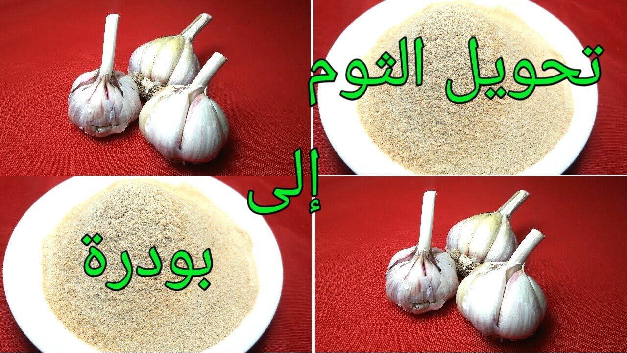 طريقة مدهشة تحويل الثوم الي ثوم بودره ليعطيكي طعم مثل المطاعم الكبري 5 طريقة مدهشة تحويل الثوم الي ثوم بودره ليعطيكي طعم مثل المطاعم الكبري