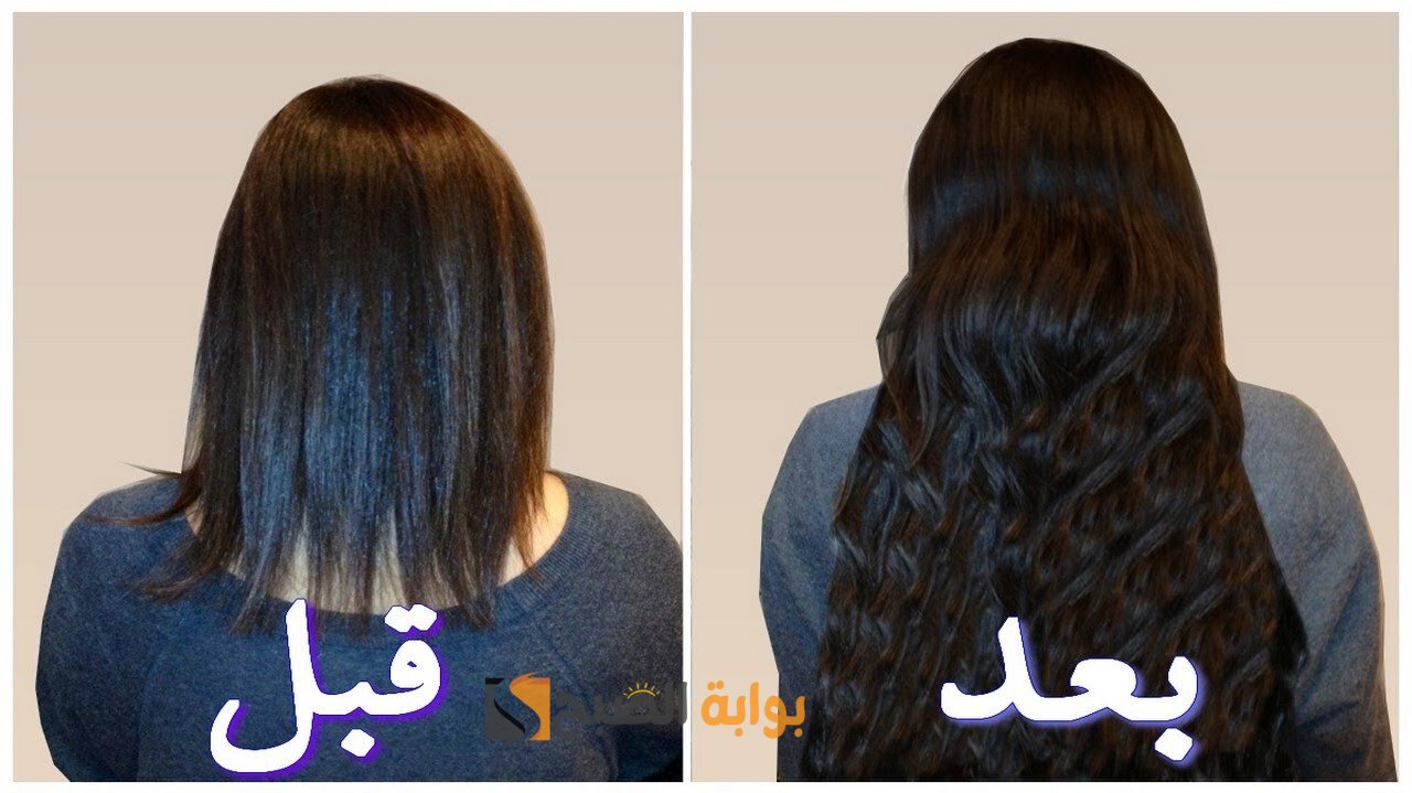 أفضل ماسك تطويل الشعر ووقف التساقط فى المنزل بمكونات طبيعية 5 أفضل ماسك تطويل الشعر ووقف التساقط فى المنزل بمكونات طبيعية